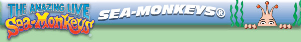 seamonkey million bubble air pump seamonkey million bubble air pump